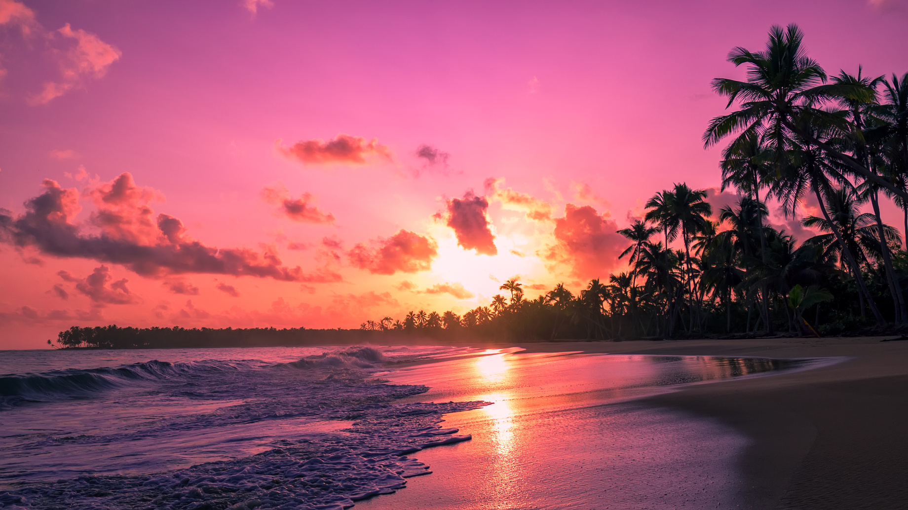 Pink sunrise on a tropical beach.